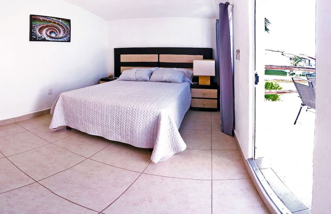 HominngBird - Foto 22