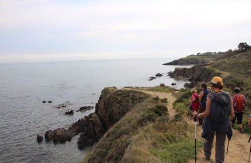 Charmant séjour au cœur des vignes de Banyuls - Foto 11