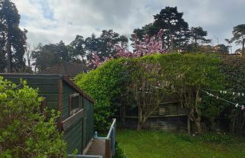 Beach Bungalow - Foto 17