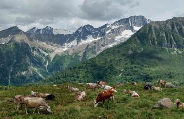 Apartman276eu Passo del Tonale - Foto 42