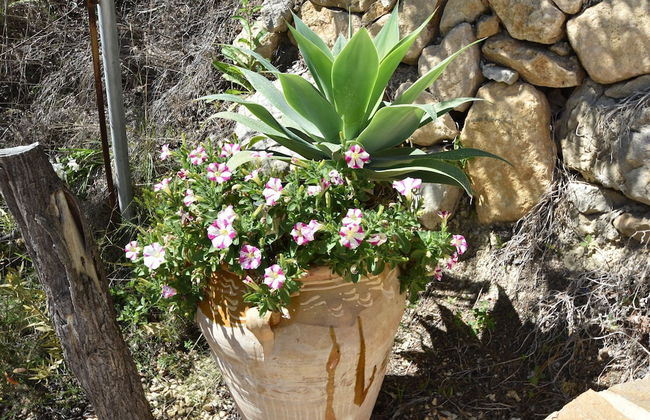 Modern Villa in Altea With Private Swimming Pool - Foto 20