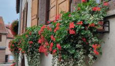 Gîte À l'aigle de sable - Foto 3