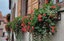 Gîte À l'aigle de sable - Foto 3