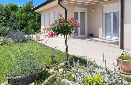 Family House - Art Villa Presika - Labin Old Town - Foto 14