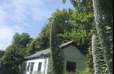 Pond Cottage - Foto 12