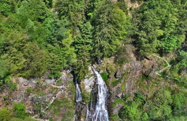 Schwarzwaldhaus Sonnenstraße, Oberried-Hofsgrund, Dreisamtal - Foto 22