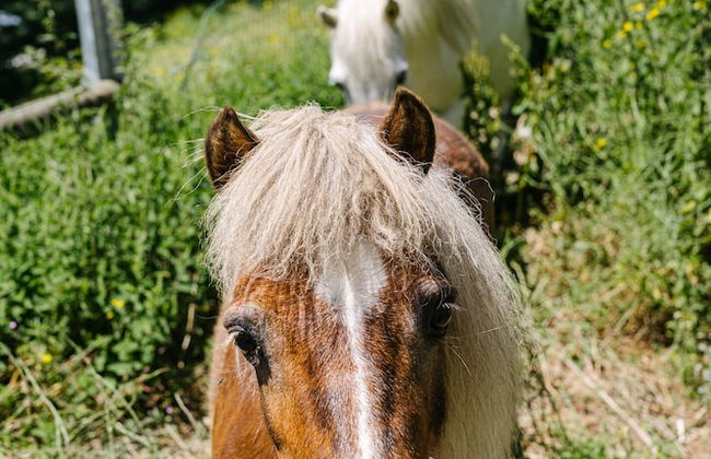 Chalet La Perle d'Oisans - Foto 71