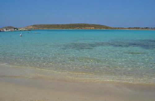 SempreViva Sea Houses - Foto 21