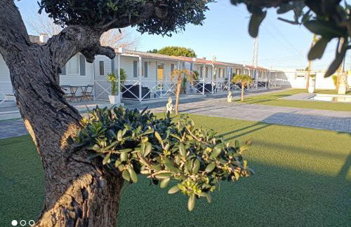 Bungalows Buda Beach - Foto 17