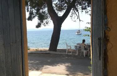 Yard of Epicurus - Η Αυλή του Επίκουρου - Foto 47