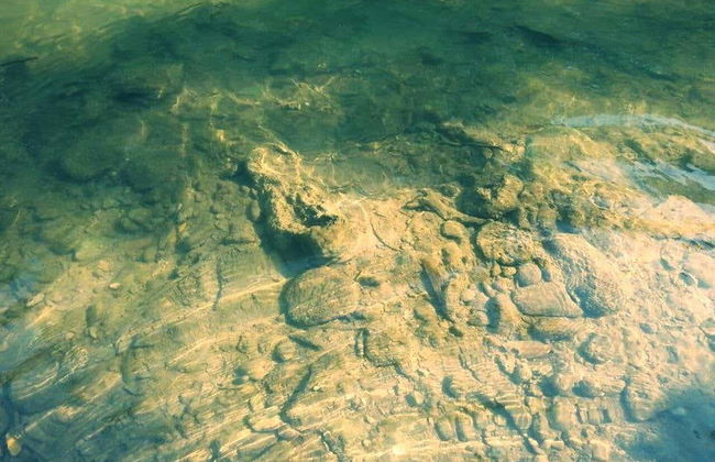 Tagatiyá Creek Day Trip - Foto 6