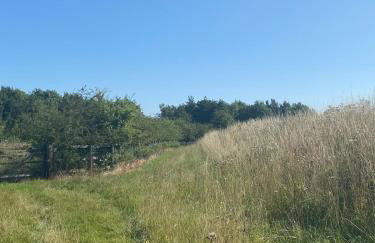 Entire flat 2 to 4 pers 1 bed 1 bath disabled access for limited disability - Foto 34