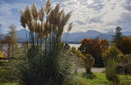 Landhaus Amberg Hopfen am See // Hopfensee // Füssen - Foto 7