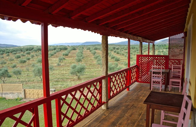 Quinta Do Barracao Da Vilarica - Foto 30