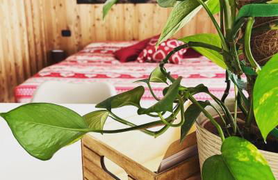 Residenze Vezza - La Corteccia- - Foto 27