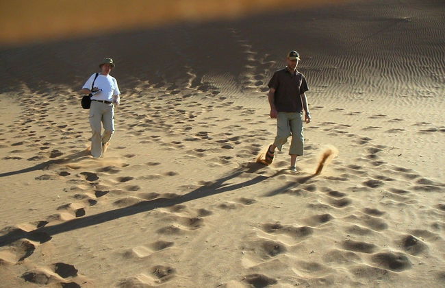 Chala Kigi Self Catering - Foto 26