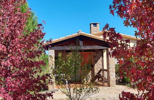 Casa Rural Amarilla - Photo 1