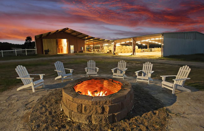 Cora's Cabins - Photo 78