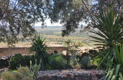 Casas Letizia e Sebastião - Foto 10