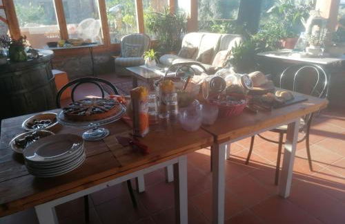 Fattoria Antognoni - Foto 58