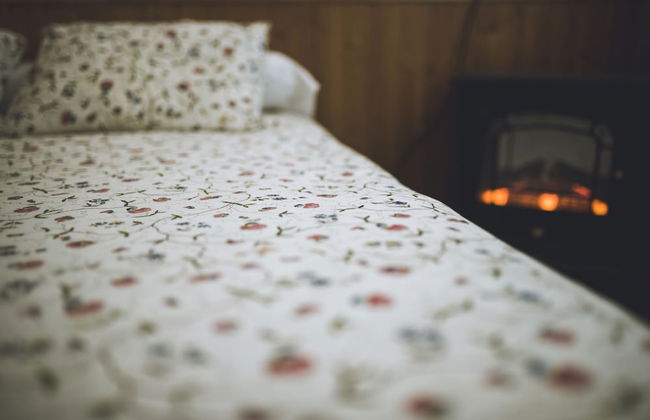 El Rancho - Photo 11