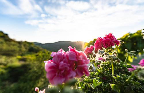 Rikanthos Stone Sea View Apartment Ι - Foto 38