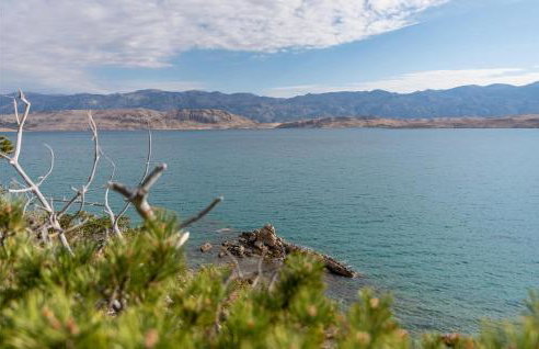 Awesome Apartment In Novalja - Photo 6