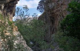 Casa Petra y Armando - Foto 23