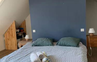 Maison de Bourg en Pierre au cœur de Plouharnel - Foto 9