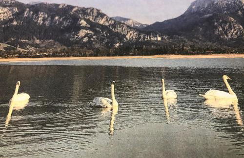 Haus bei der Linden Ferienwohnungen - Foto 32