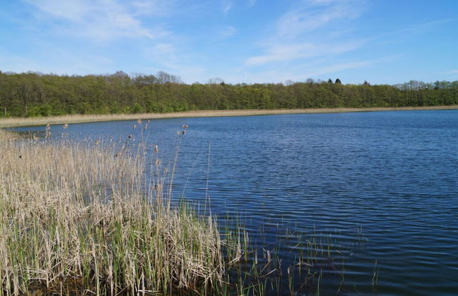 Small House on the Lake - Photo 4