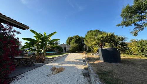Marais Inn, maison typique avec piscine et jardin arboré, 10 kms Niort - Foto 4
