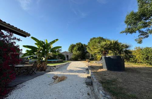Marais Inn, maison typique avec piscine et jardin arboré, 10 kms Niort - Foto 4