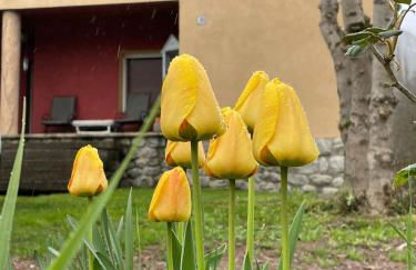 Casita Bonita - Foto 40