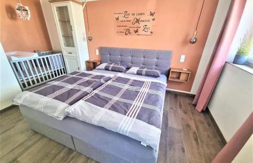 Pferdeglück Pappenheimer - Foto 11