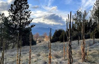 Sapphire A-Frame - Foto 31