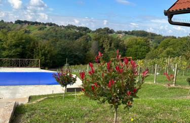 Villa Međimurka - Foto 25