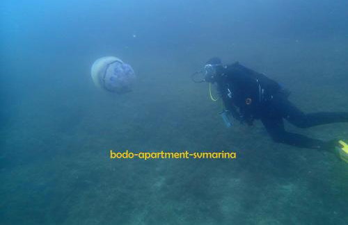 Bodo Apartment - Foto 59