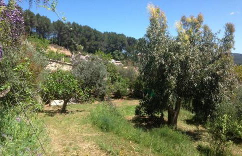 Le gite les bancaous - Foto 6