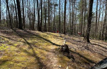 Bearly Behavin - Foto 21