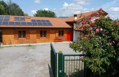 Agriturismo bio Apipoli - Foto 19