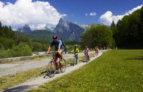 Le Gypaète - Photo 35