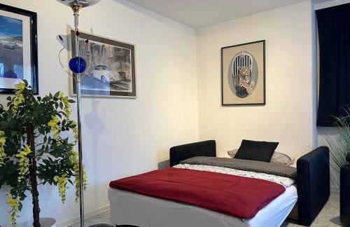 Excl Ferienwohnung im Dreiländereck D-F-CH mit beheiztem kl Pool zum Schwimmen und Massieren - Foto 50