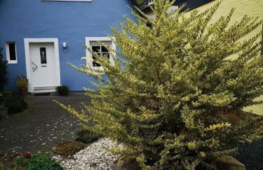 Das blaue Haus - Foto 1