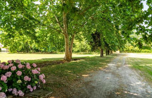 Fontanile Garden Villa - Foto 8