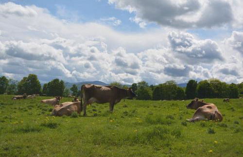 Mountainside Resort F401 - Foto 12