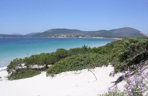 Casada's House - Photo 48