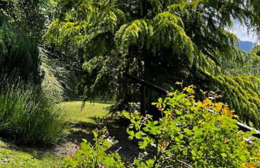 Chalet Cheverel (AO) - Foto 55