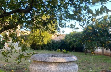 Masseria Montanari - Foto 7