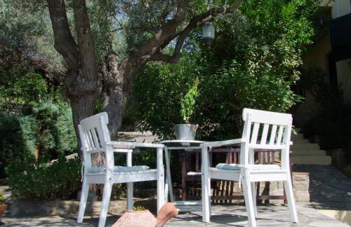 The Yellow Houses - Photo 17